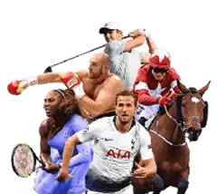 newjili website image 60 showing home sports
